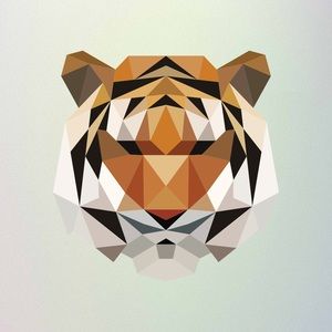 Meet your Posher, Angelo